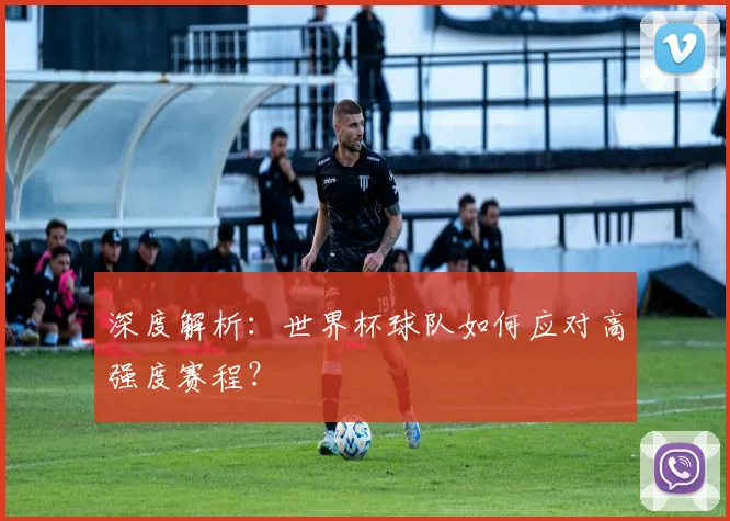 深度解析:世界杯球队如何应对高强度赛程?