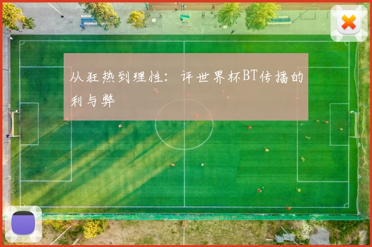 从狂热到理性：评世界杯BT传播的利与弊