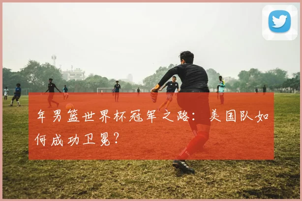 年男篮世界杯冠军之路：美国队如何成功卫冕？