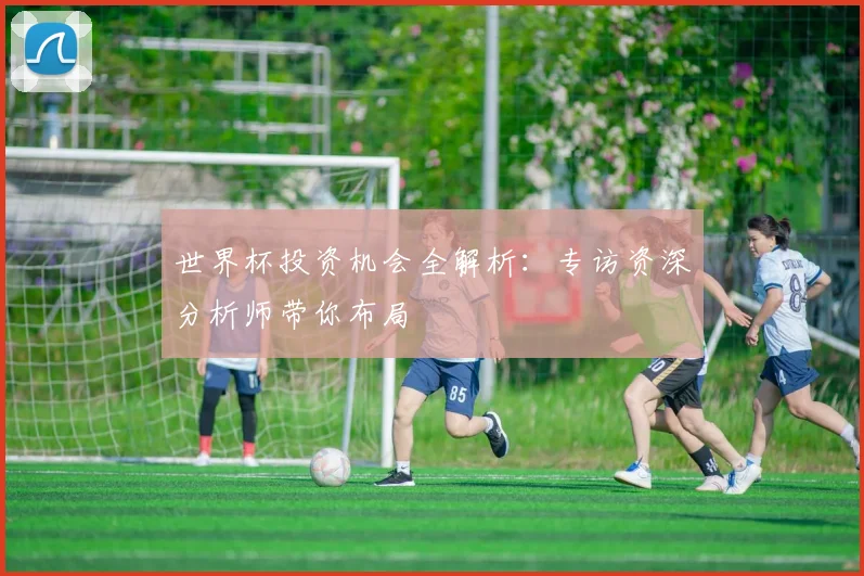 世界杯投资机会全解析:专访资深分析师带你布局