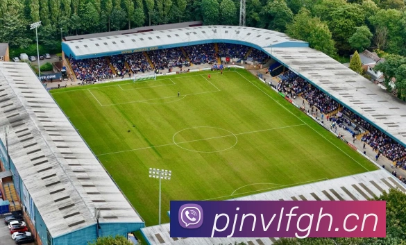 九游j9官方网站平台生态图