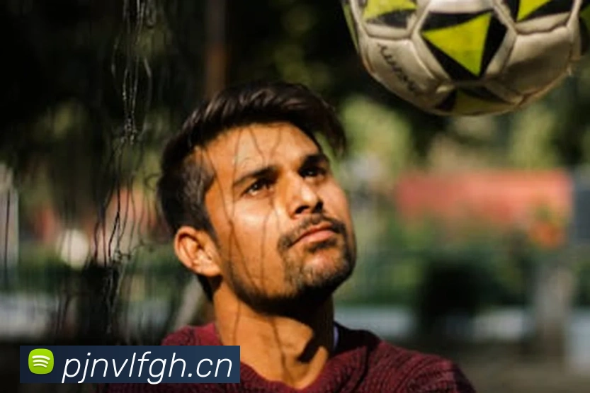 九游j9官方网站APP 封面图